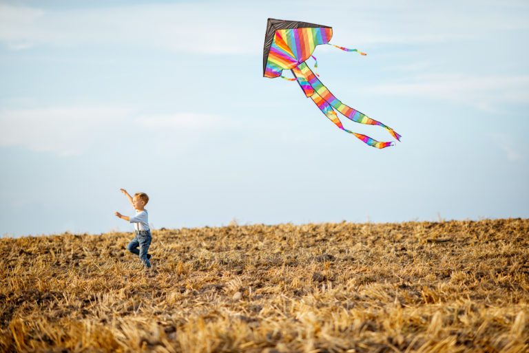 Fother and son flying kite on the field