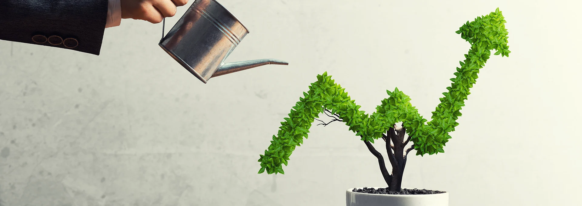 Business Resilience