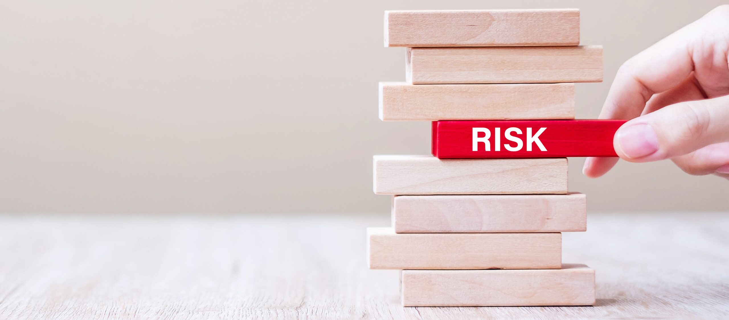 Risk & Business Opportunities