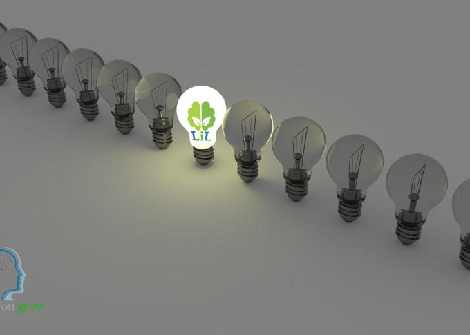 light-bulbs Light Bulb